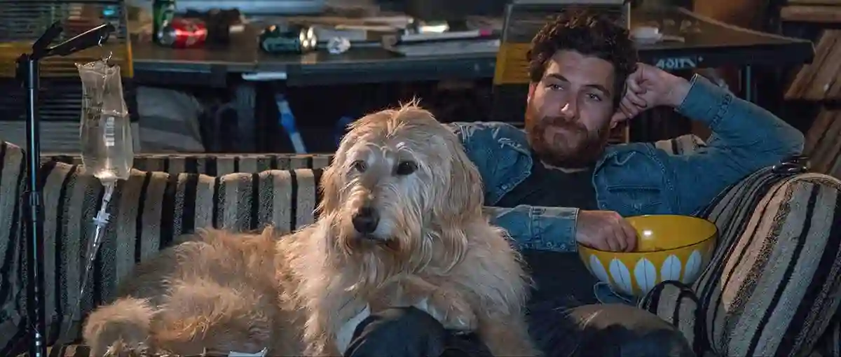 Sessão da Tarde (27/03/2025): Nossa Vida com Cães