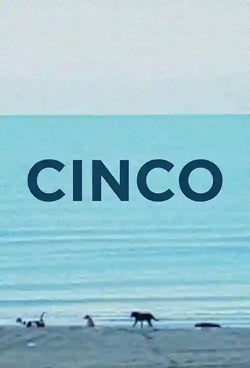 Cinco
