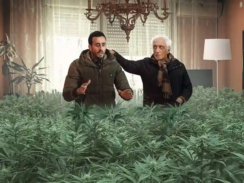 20211007 flagrantes de familia papo de cinema 800 teaser