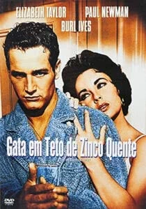 Gata em Teto de Zinco Quente