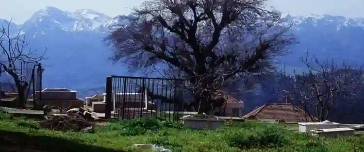 20211021 marinheiro das montanhas papo de cinema 1 e1635255797501