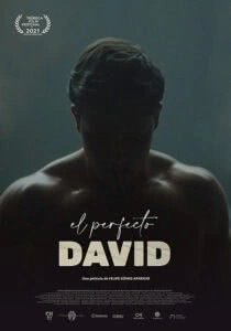 O Perfeito David