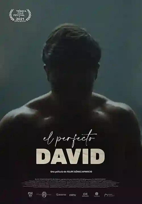 O Perfeito David