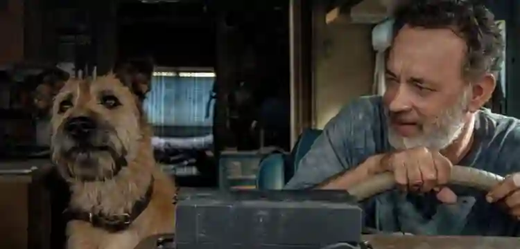 20211103 finch papo de cinema 2
