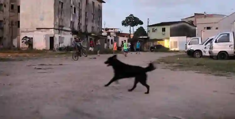 20211122 muribeca papo de cinema 2