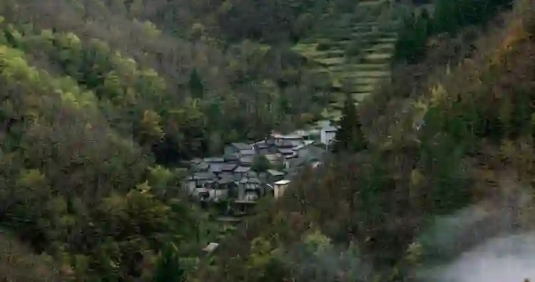 20211125 bosco papo de cinema 1