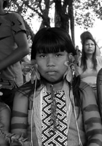 De Onde Viemos, Para Onde Vamos