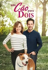 Um Cão Para Dois