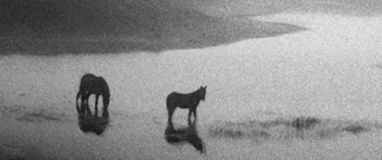 20220204 geographies of solitude papo de cinema cartaz e1644643886324