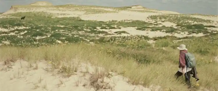 20220211 geographies of solitude papo de cinema 1 e1644643856332