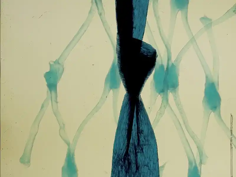 20220211 geographies of solitude papo de cinema 800