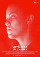 20220211 mato seco em chamas papo de cinema cartaz