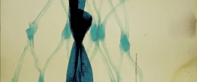 20220221 geographies of solitude papo de cinema 1
