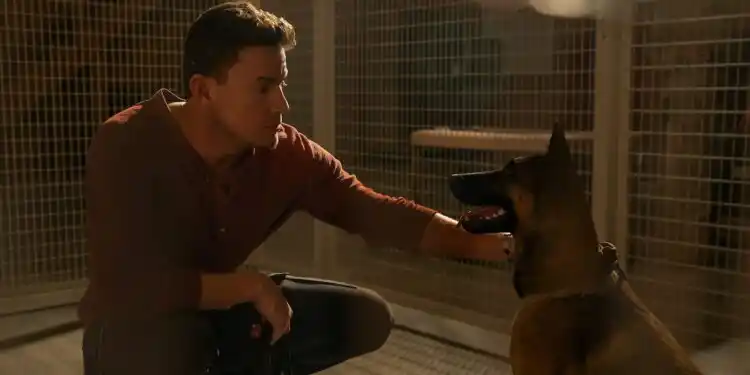 20220518 dog poster channing tatum papo de cinema 2