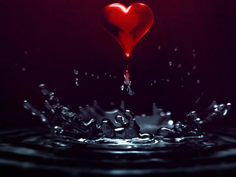 20220310 peripecias de amor papo de cinema 800 teaser