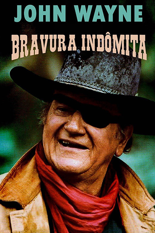 Bravura Indômita  CINEMA, OSCAR e AFINS