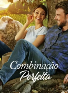 Combinação Perfeita