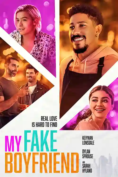 Streaming 22 Meu Namorado Fake