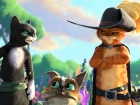20220620 gato de botas 2 800