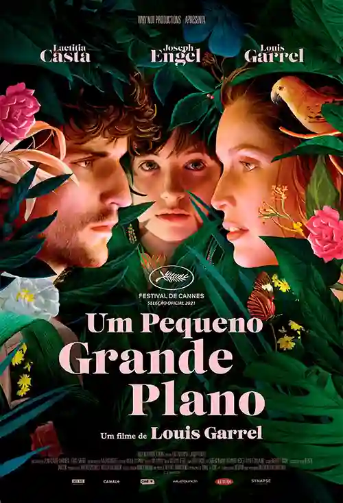 Um Pequeno Grande Plano