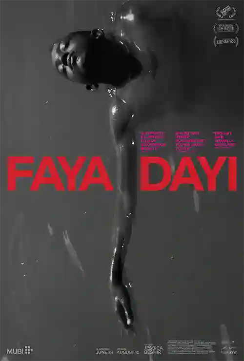 Filmes 10 Faya Dayi