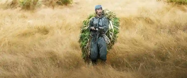 20220811 onoda papo de cinema
