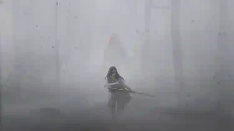 20220912 o predador a cacada filme papo de cinema