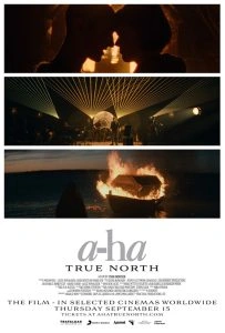 A-Ha: True North