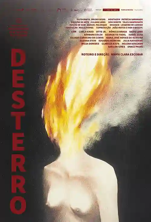 Críticas 21 Desterro