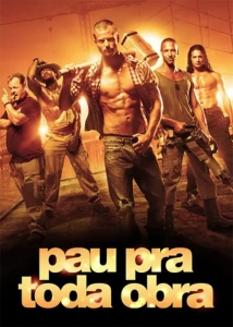 Pau Pra Toda Obra