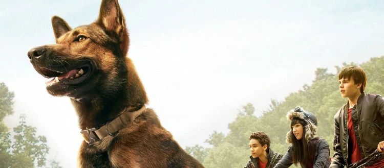 Sessão da Tarde :: Max: O Cão Herói, filme desta sexta (27/03), mostra rotina de cães militares e foi baseado em casos reais. Saiba mais! 2 Sessão da Tarde :: Max: O Cão Herói