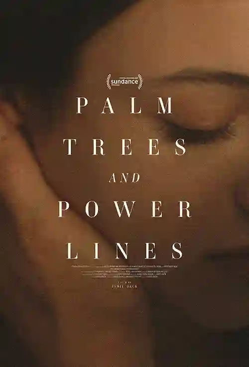 Filmes 2 Palmeiras e Linhas Elétricas