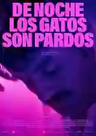 20221018 a noite todos os gatos sao pardos papo de cinema cartaz