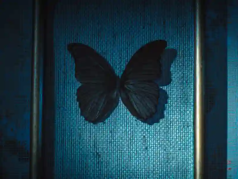 20221018 borboletas negras papo de cinema 800 teaser