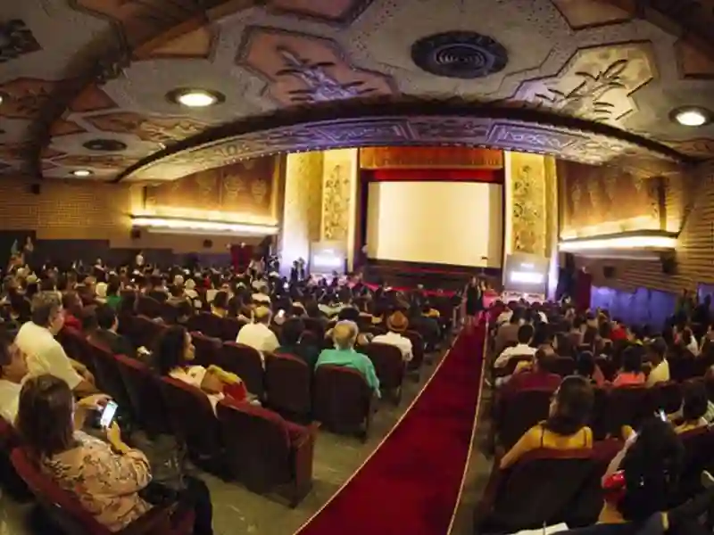 20221111 cine pe 800