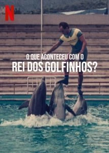 O Que Aconteceu com o Rei dos Golfinhos?