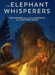 Como Cuidar de um Bebê Elefante