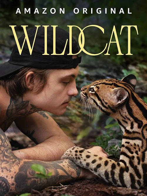 Filmes 5 Gato Selvagem