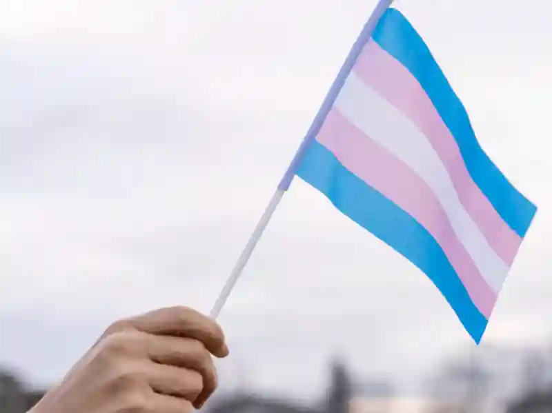 Exibições especiais celebram o mês da visibilidade trans em Porto Alegre 18 20230123 visibilidade trans 800