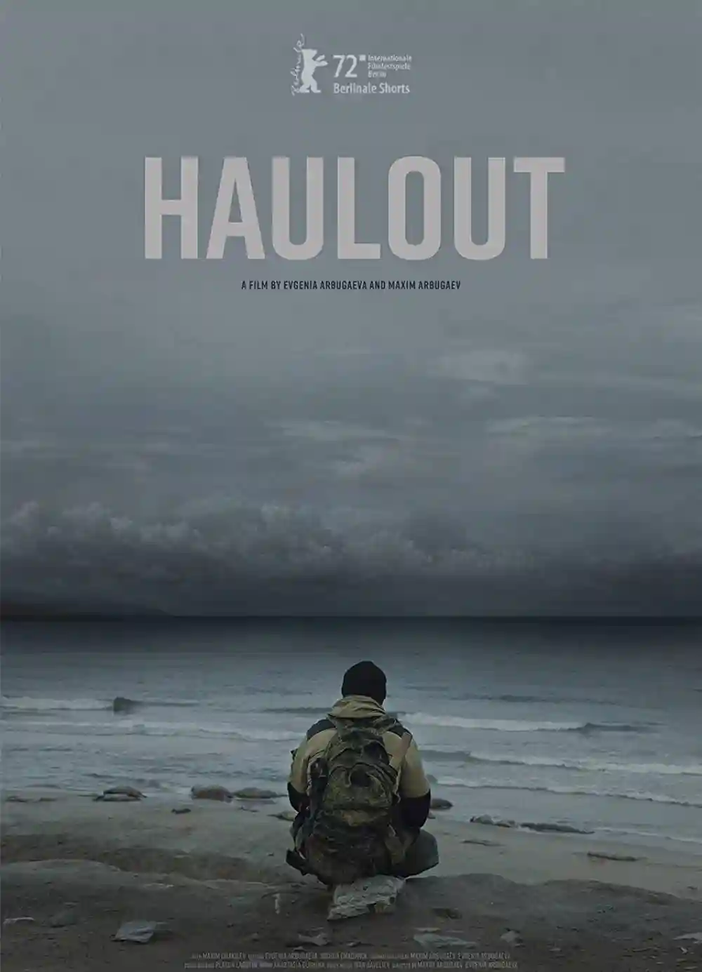 Filmes 15 Haulout