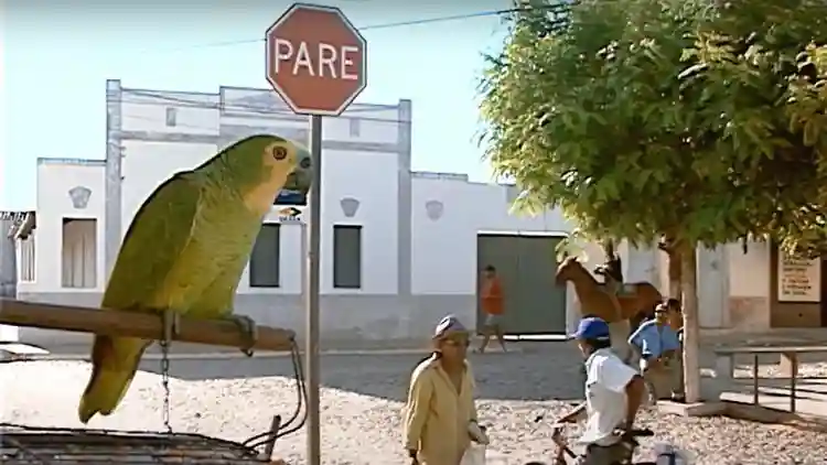 20231127 memorias da chuva papo de cinema