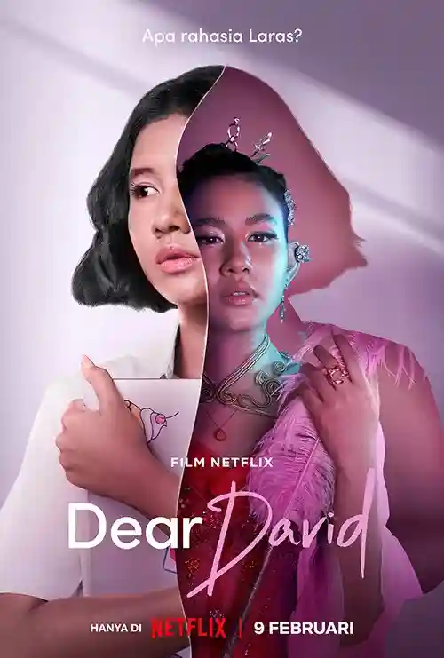 Filmes 6 Querido David