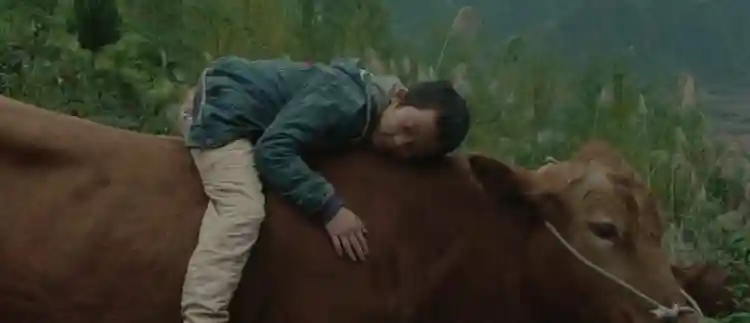 Festival de Berlim 2023 :: Sur l'Adamant ganha o Urso de Ouro. Curta brasileiro é premiado 5 20230225 xiaohui he ta de niu papo de cinema e1677350135149