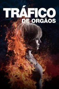 Tráfico de Órgãos