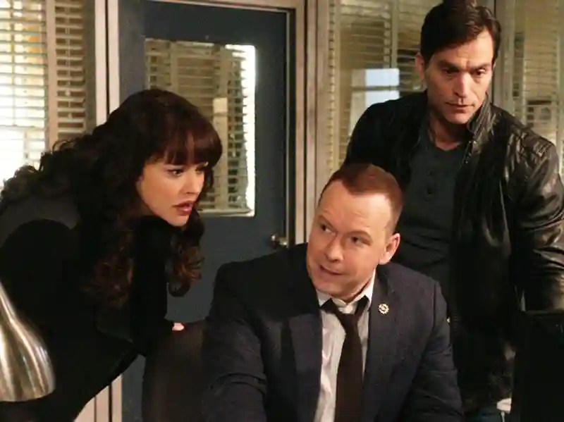 20230522 blue bloods papo de cinema 800 t06