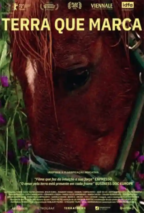 Filmes 12 Terra que Marca