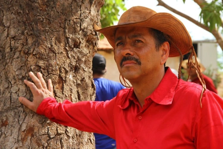20230817 o braulho da noite filme papo de cinema