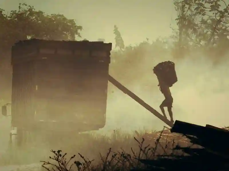 20230822 vidas descartaveis papo de cinema 800