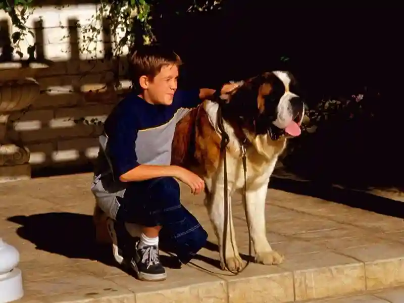 20230829 beethoven 3 uma familia em apuros papo de cinema 800