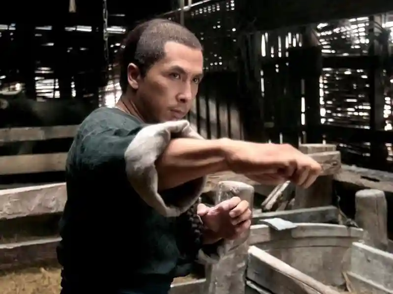20230829 dragao papo de cinema 800